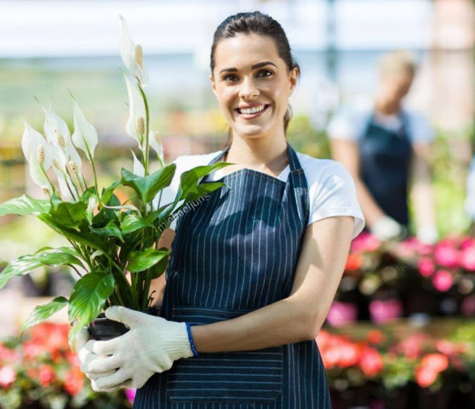 Application – nomination of eligible employees